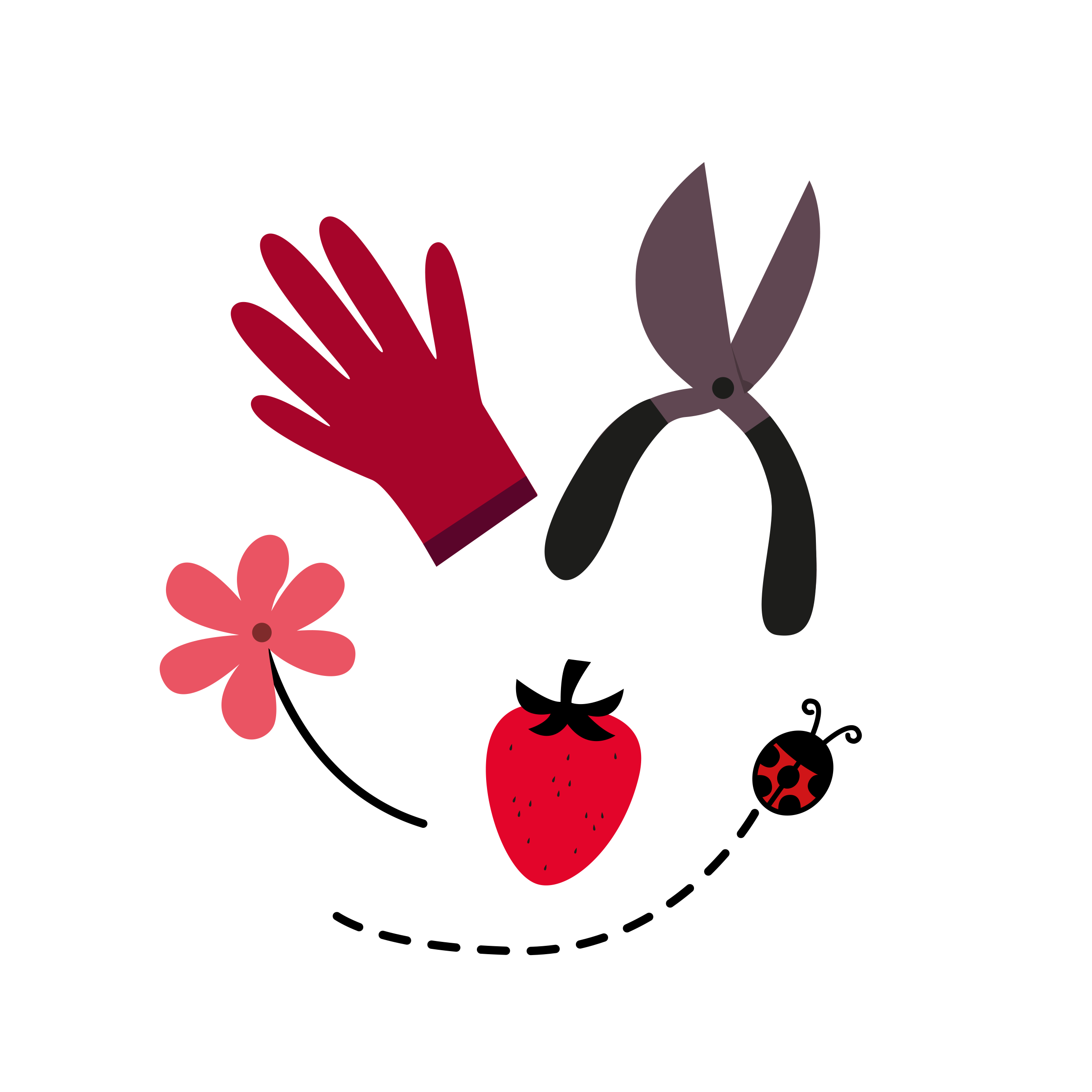 Pictogrameme pour les différntes activités Cueillette fruits légumes fleurs Chapeau de Paille